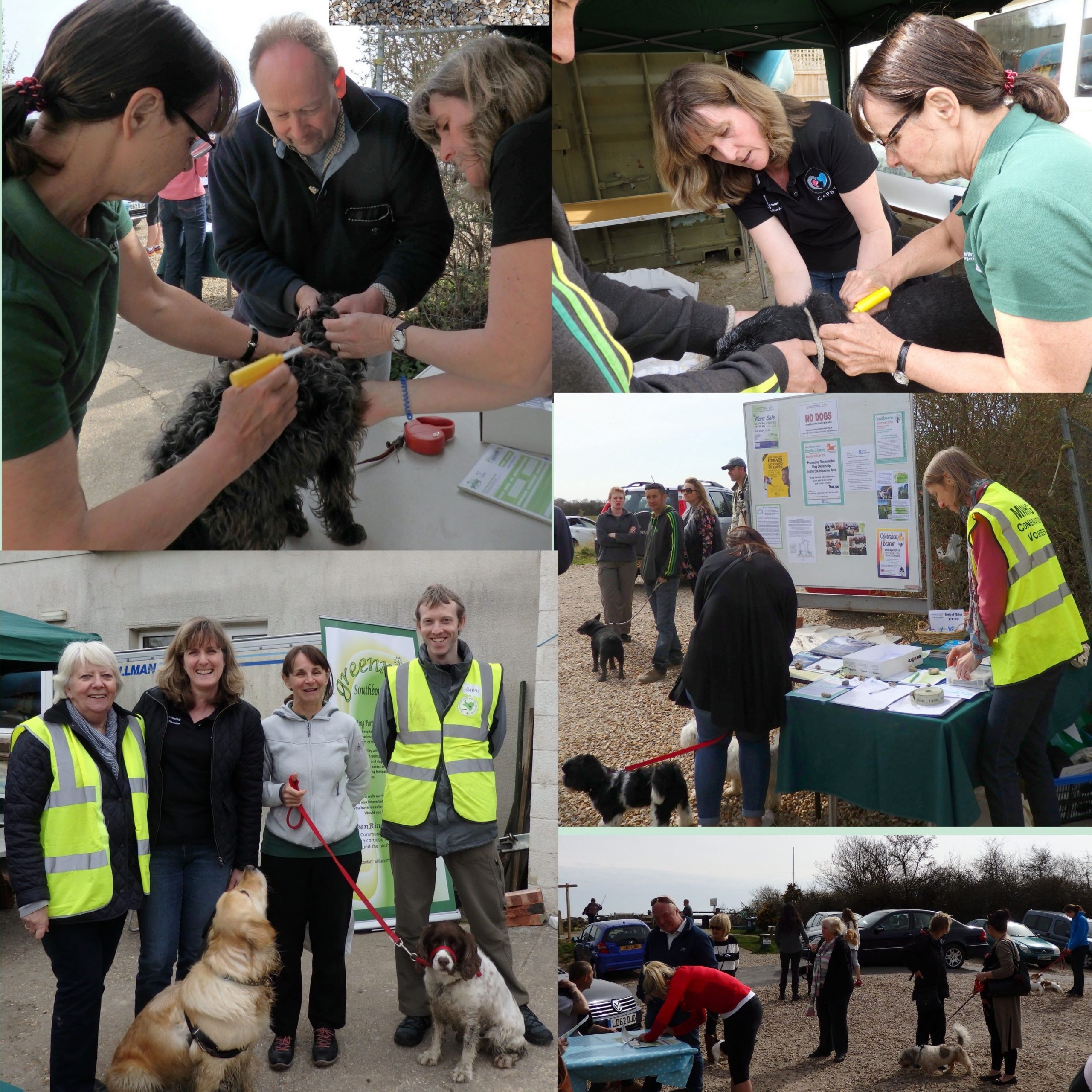 Dog Microchipping April 2016

