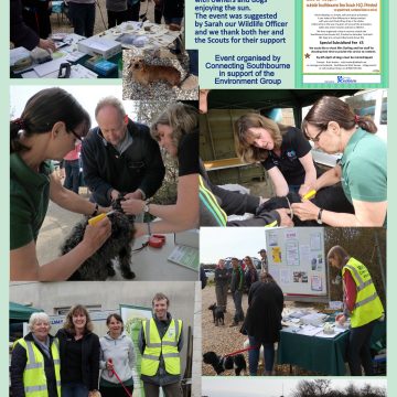   Dog Microchipping April 2016